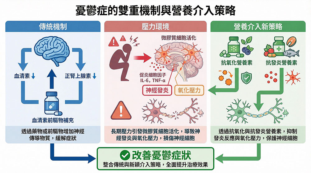 憂鬱的生理機制:從「神經傳導」到「神經發炎」